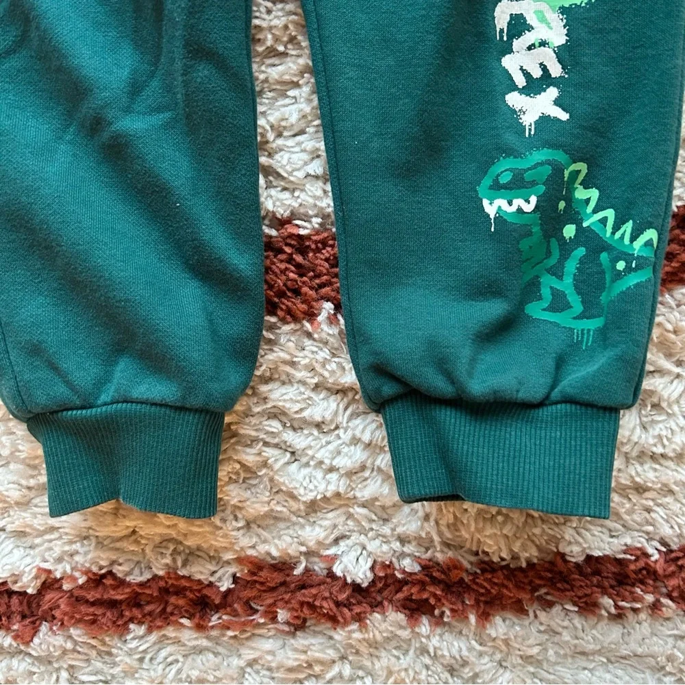 H&M Cool T-Rex Dino Graphic Cotton Terry Sweatpant Top Outfit Dark Green Size 4T
